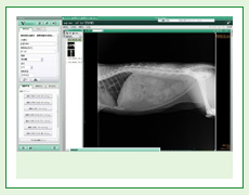 デジタルＸ線画像診断システム（富士フィルム）写真